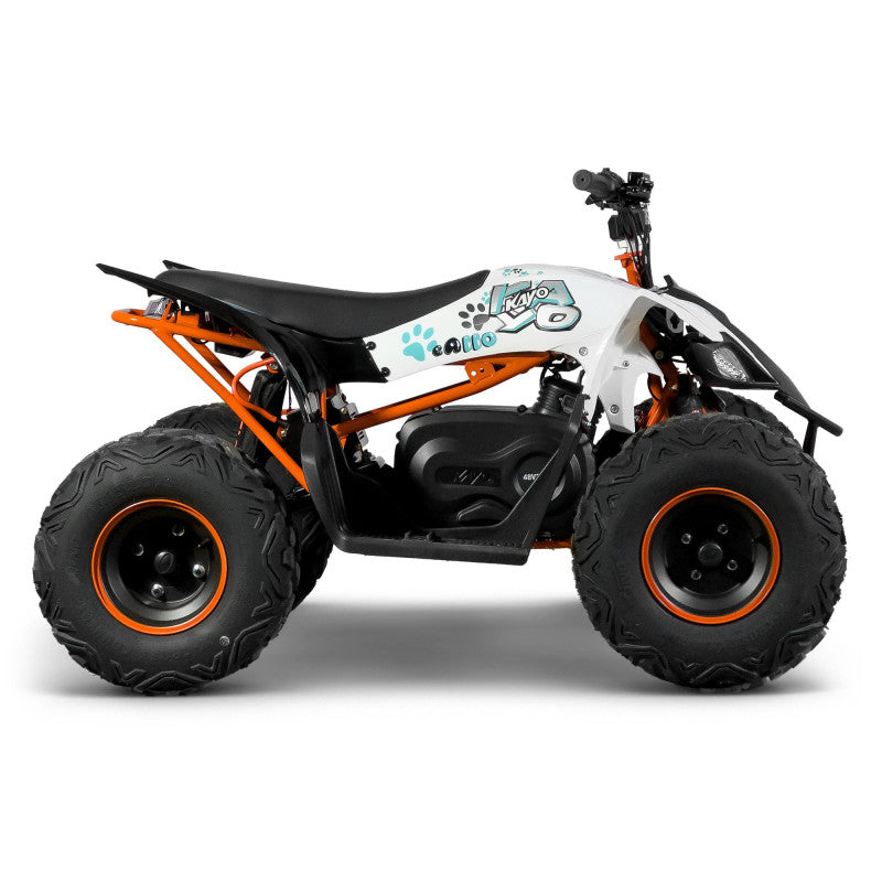 Quad Électrique 2100 Watts Kayo eA110