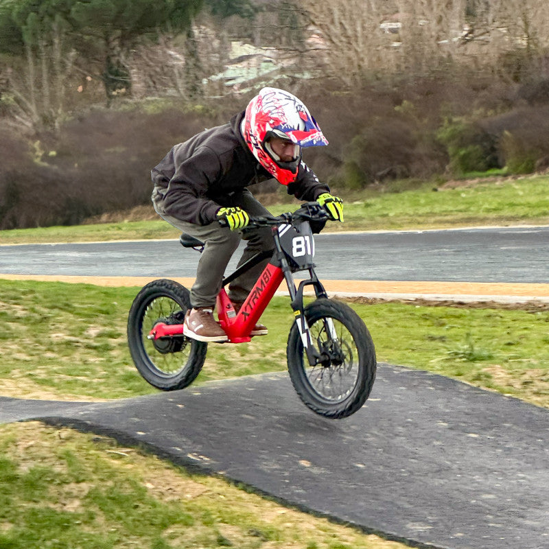 Draisienne électrique pour enfant 36V 500W DX 18 BLANC