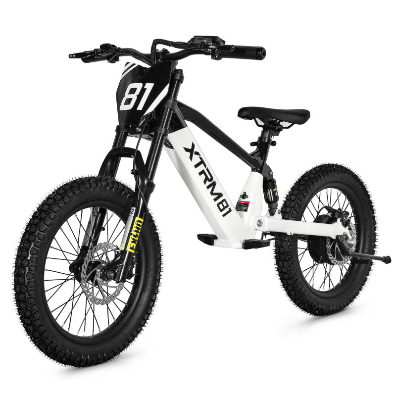 Draisienne électrique pour enfant 36V 500W DX 18 BLANC