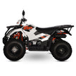 Quad 300cc agricole KAYO AU300, Vert