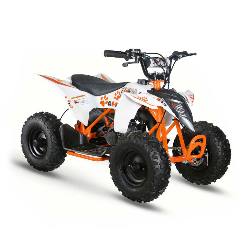 Pocket Quad 50cc Kayo A50